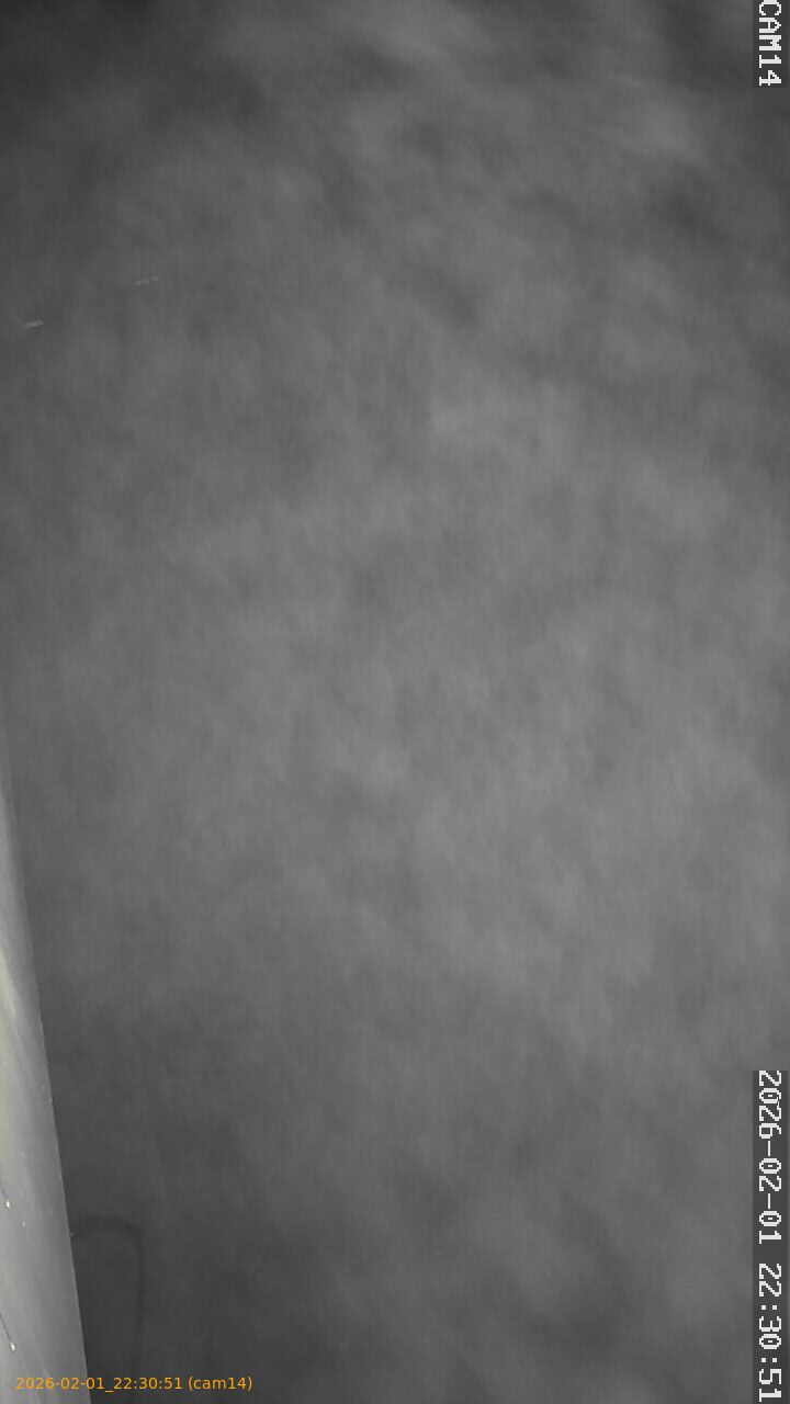 thumbnail_20260201223051