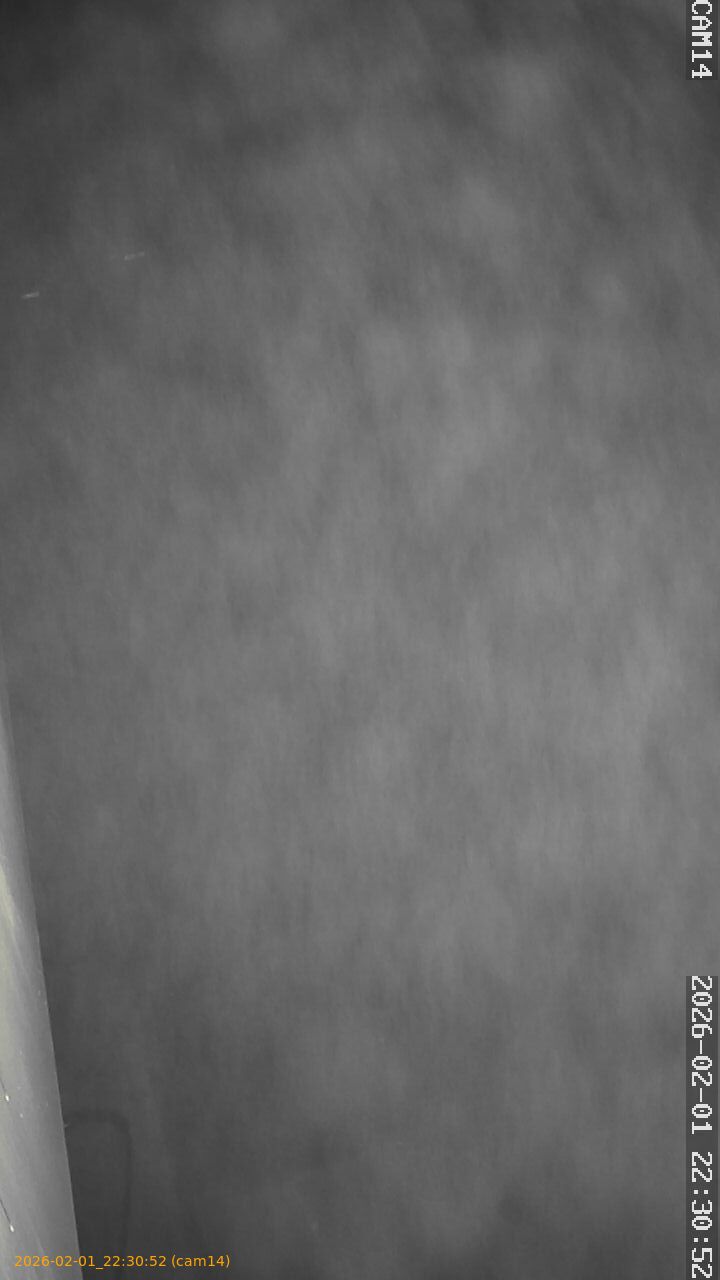 thumbnail_20260201223052