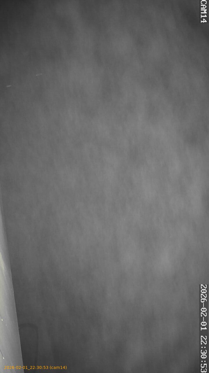 thumbnail_20260201223053