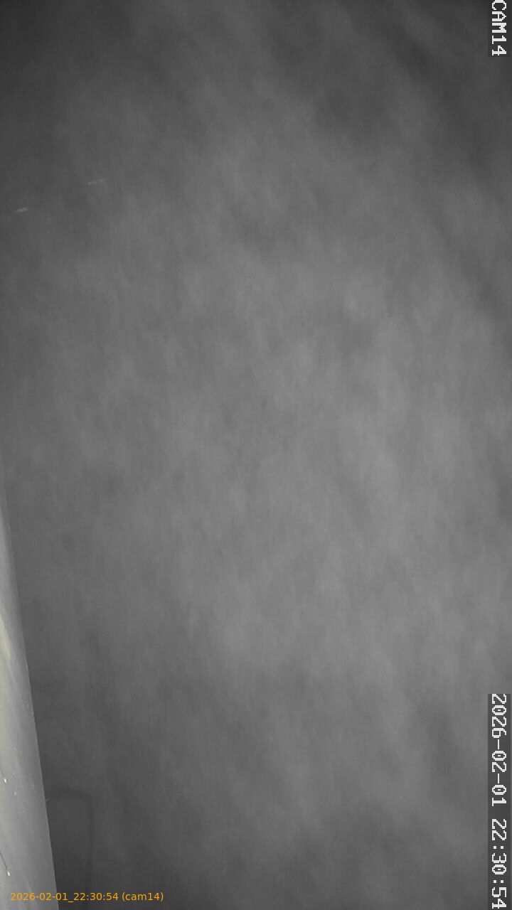 thumbnail_20260201223054