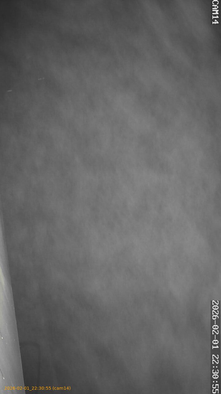 thumbnail_20260201223055