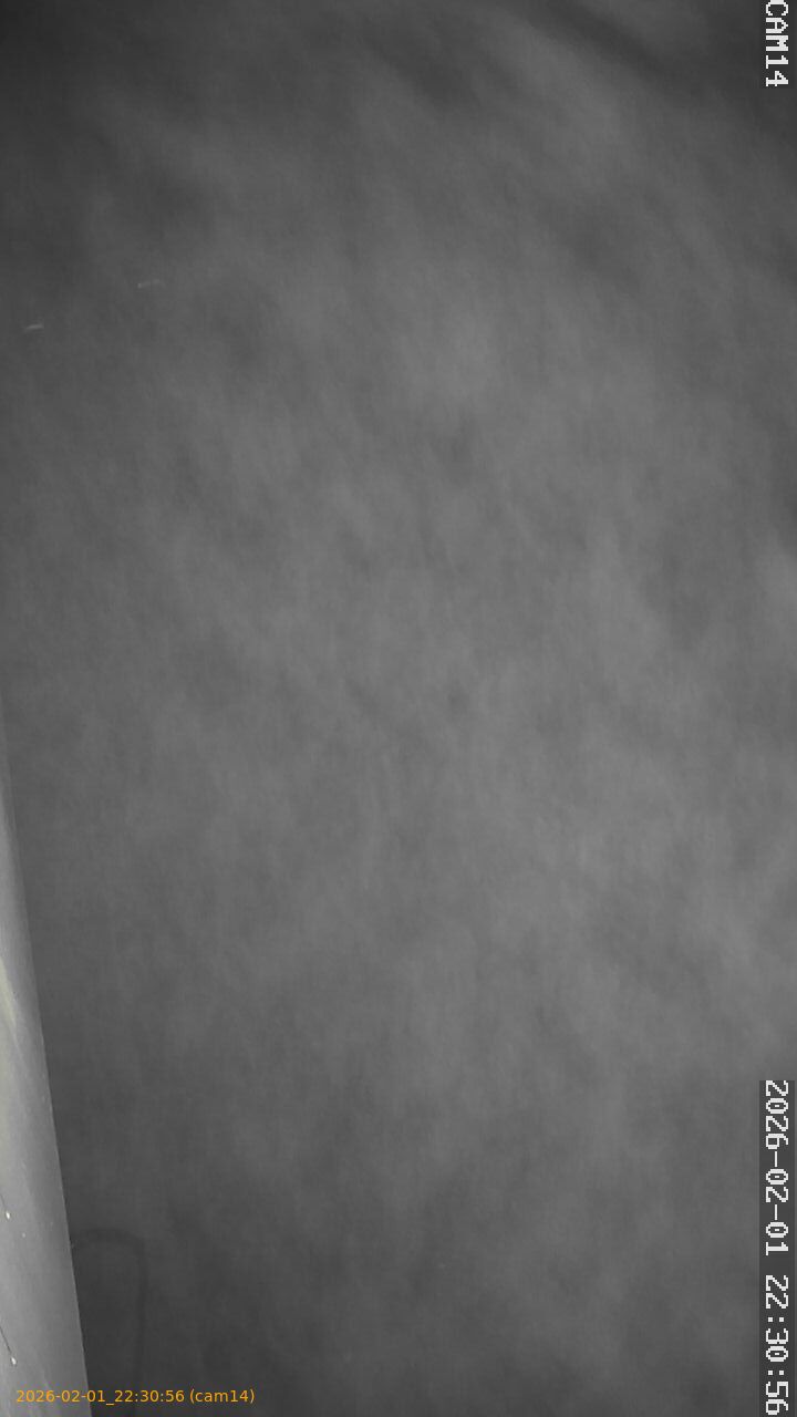 thumbnail_20260201223056