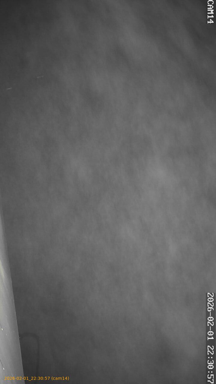 thumbnail_20260201223057