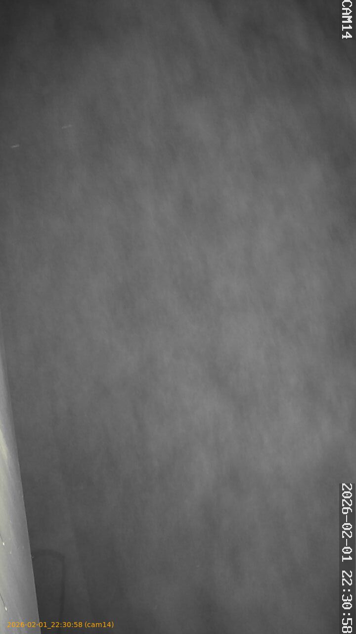 thumbnail_20260201223058