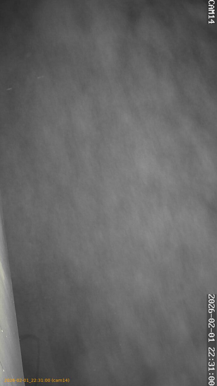 thumbnail_20260201223100