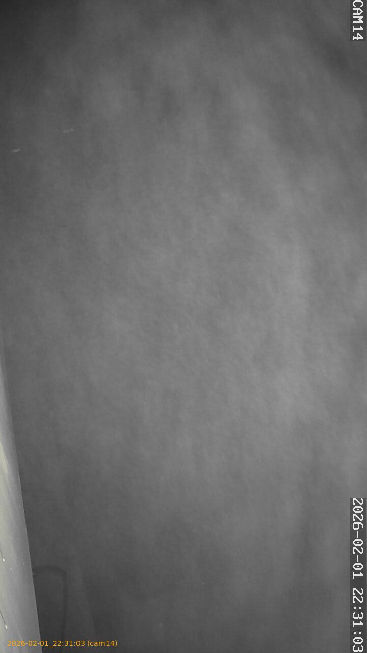 thumbnail_20260201223103