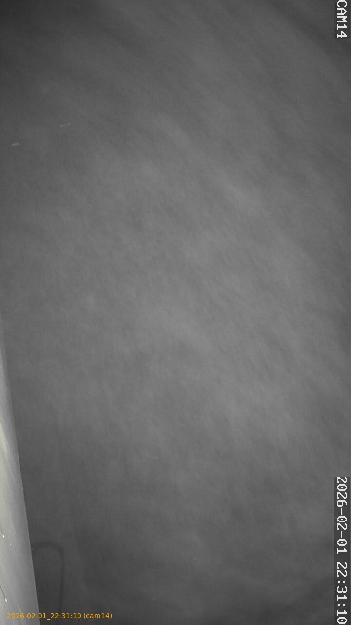 thumbnail_20260201223110