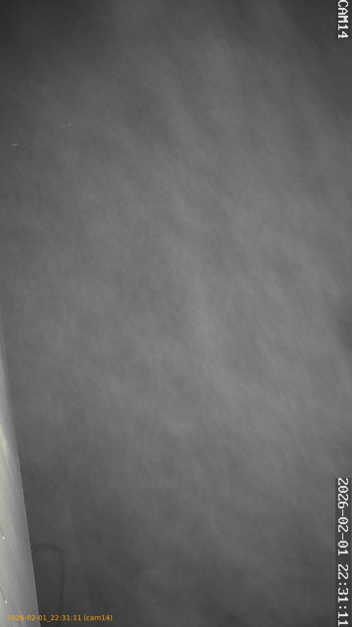 thumbnail_20260201223111