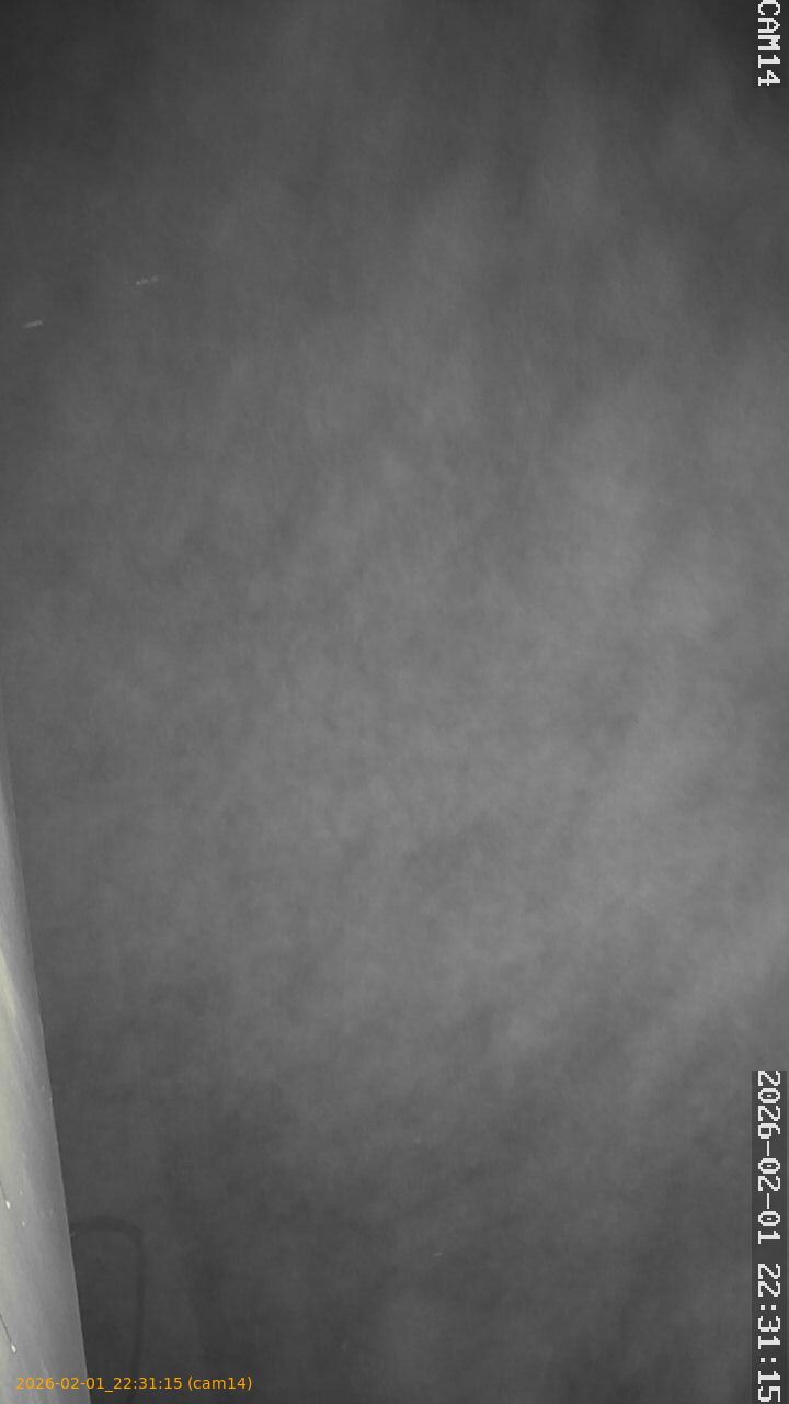 thumbnail_20260201223115