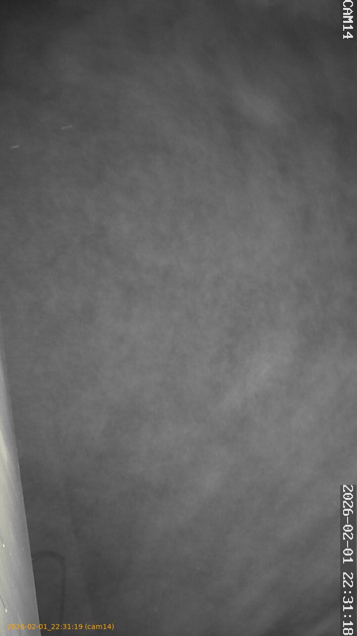 thumbnail_20260201223119