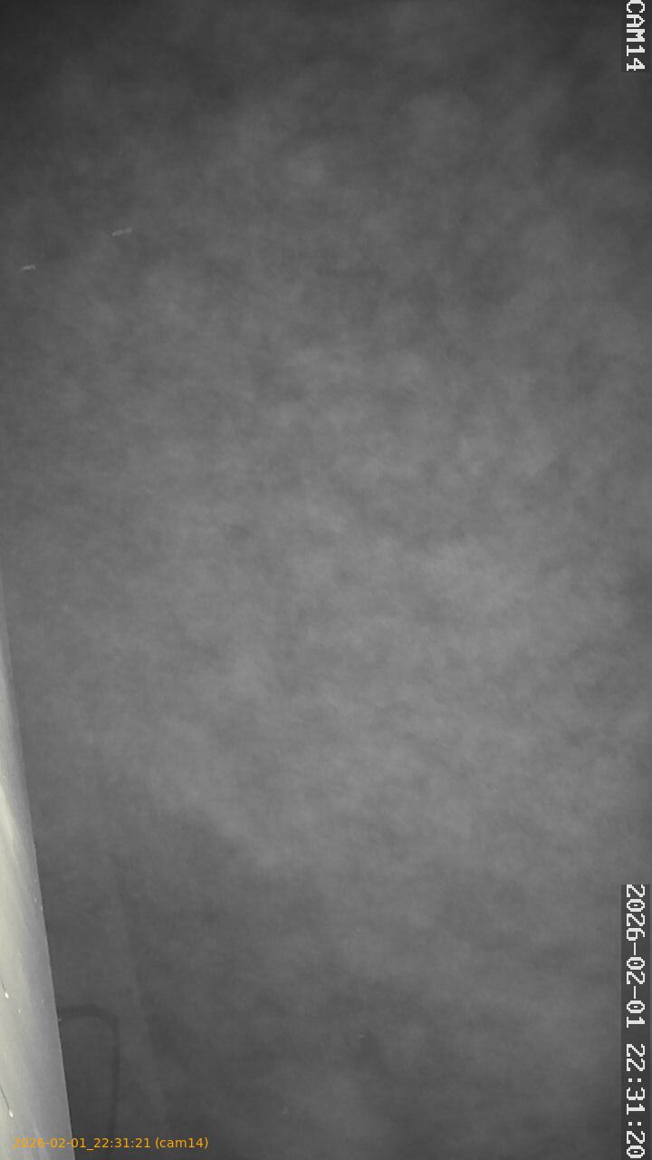 thumbnail_20260201223121