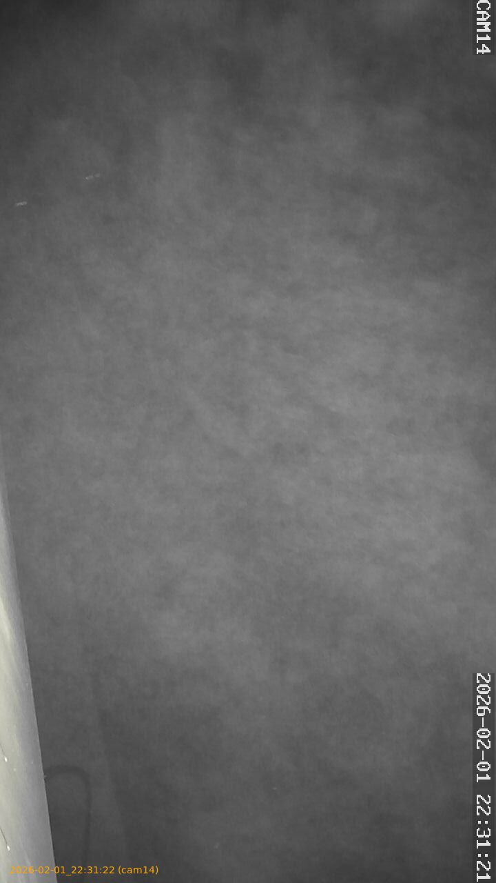 thumbnail_20260201223122