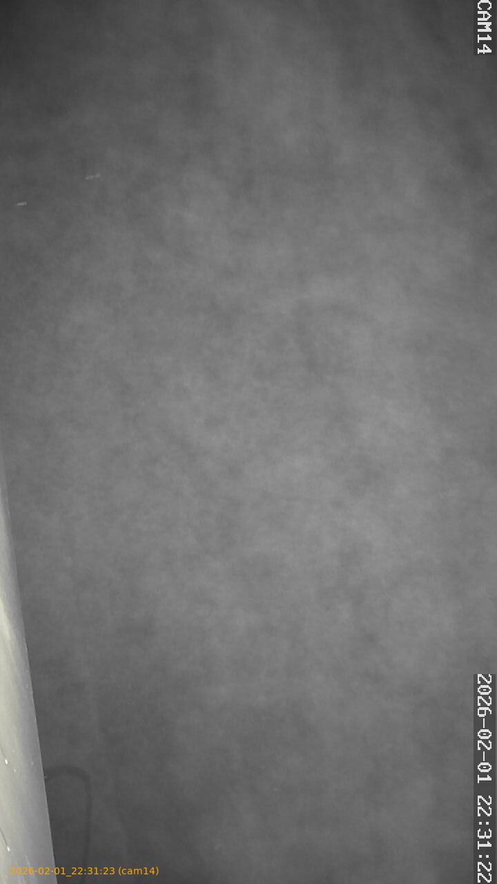 thumbnail_20260201223123