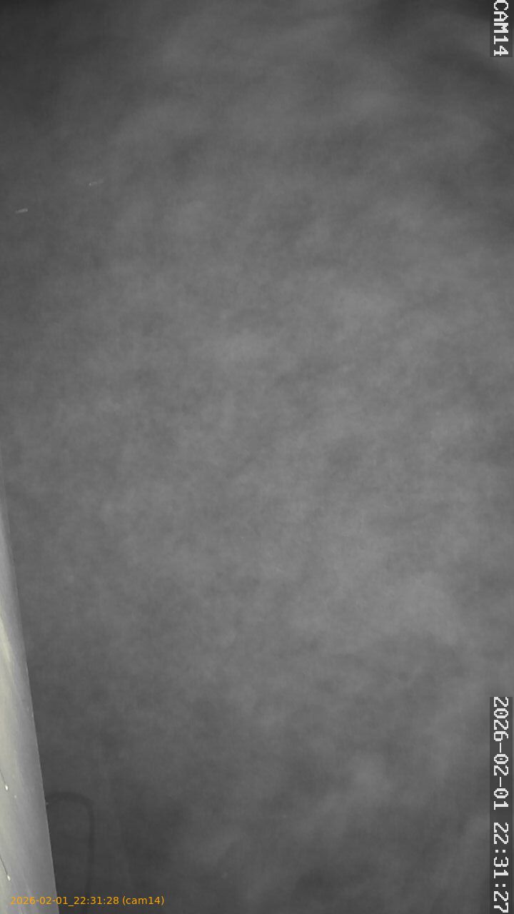 thumbnail_20260201223128