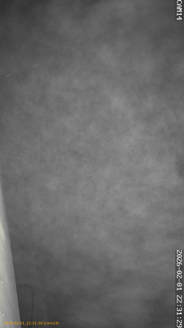 thumbnail_20260201223130