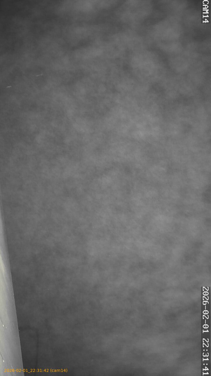 thumbnail_20260201223142