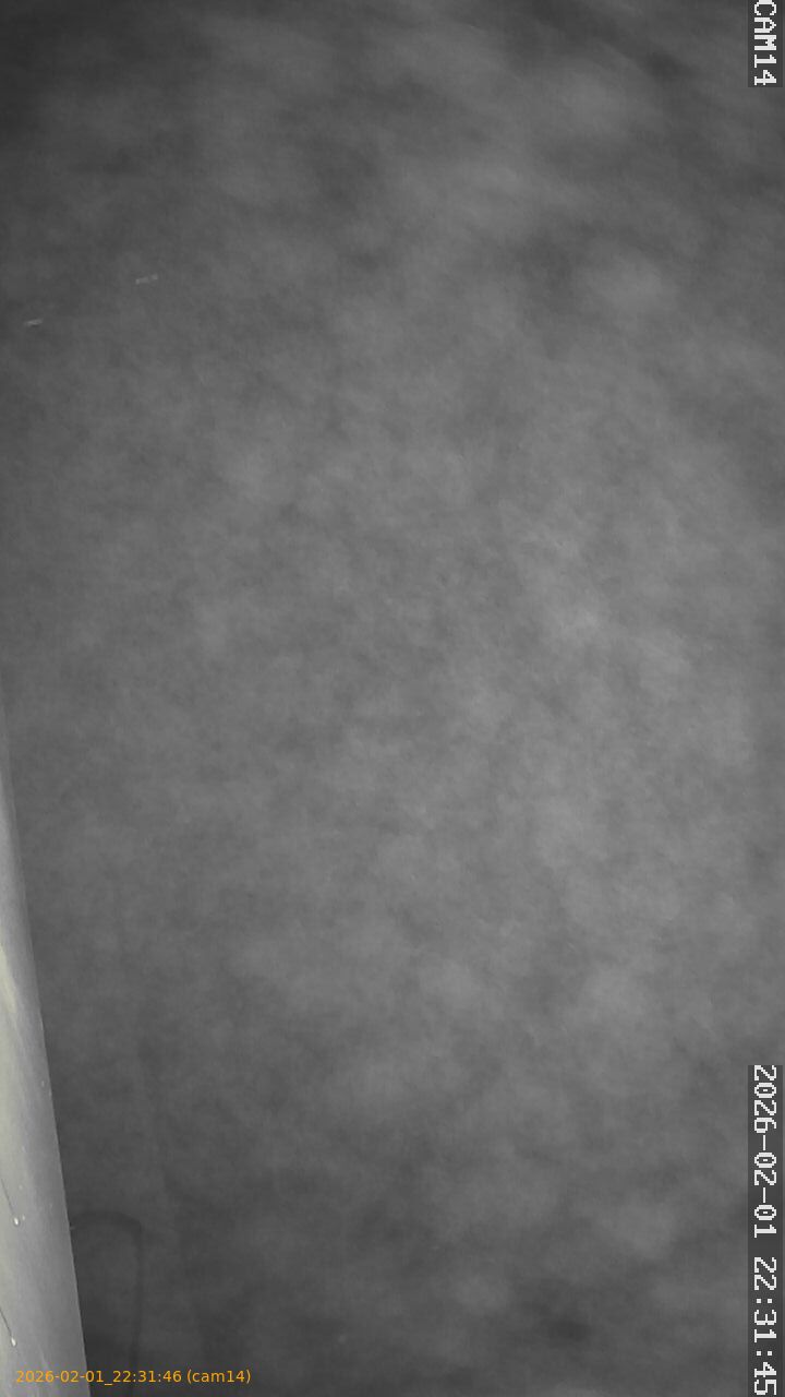 thumbnail_20260201223146