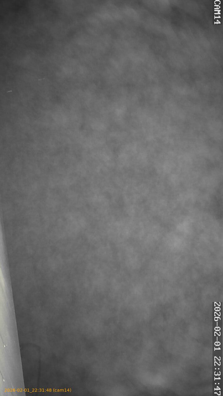 thumbnail_20260201223148