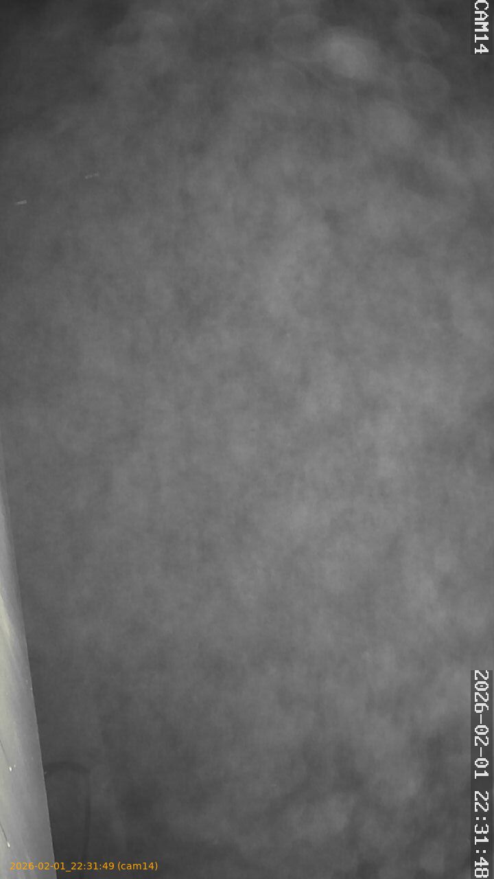 thumbnail_20260201223149