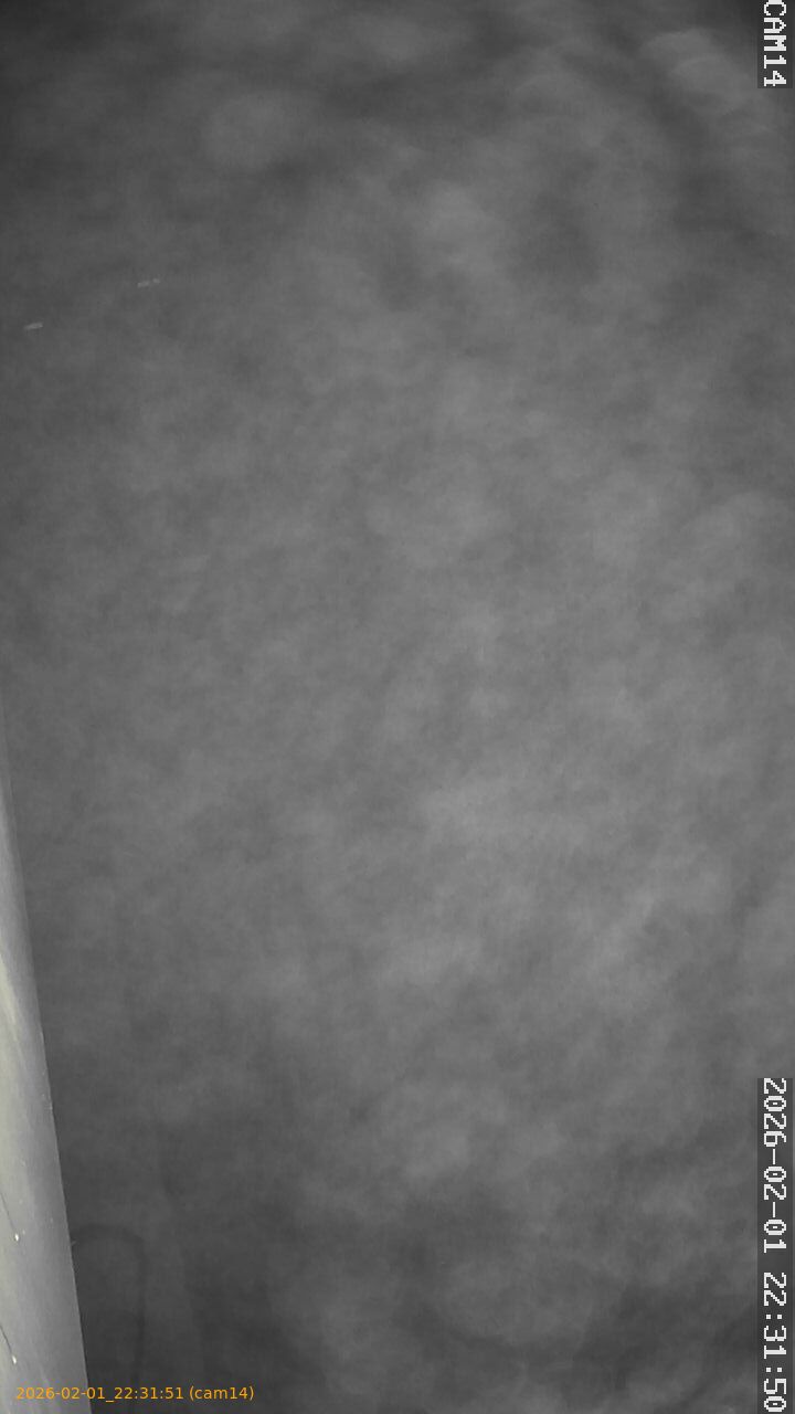 thumbnail_20260201223151