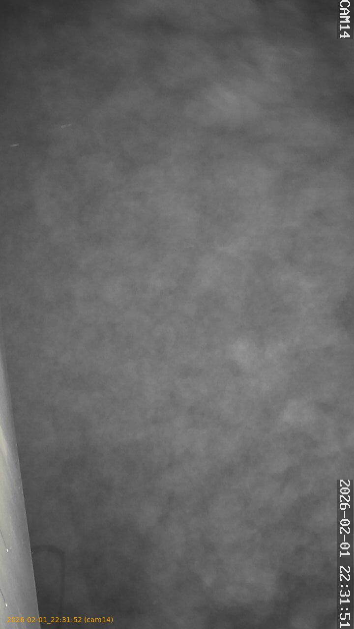 thumbnail_20260201223152