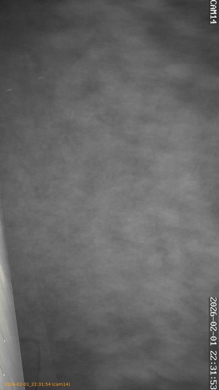 thumbnail_20260201223154