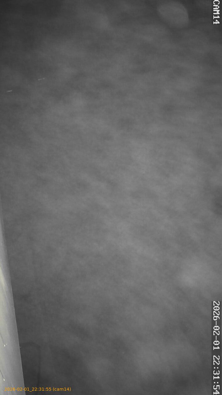 thumbnail_20260201223155