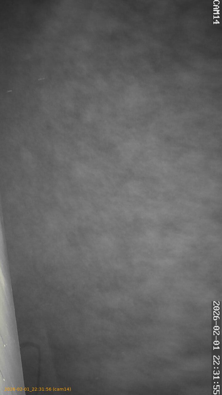 thumbnail_20260201223156