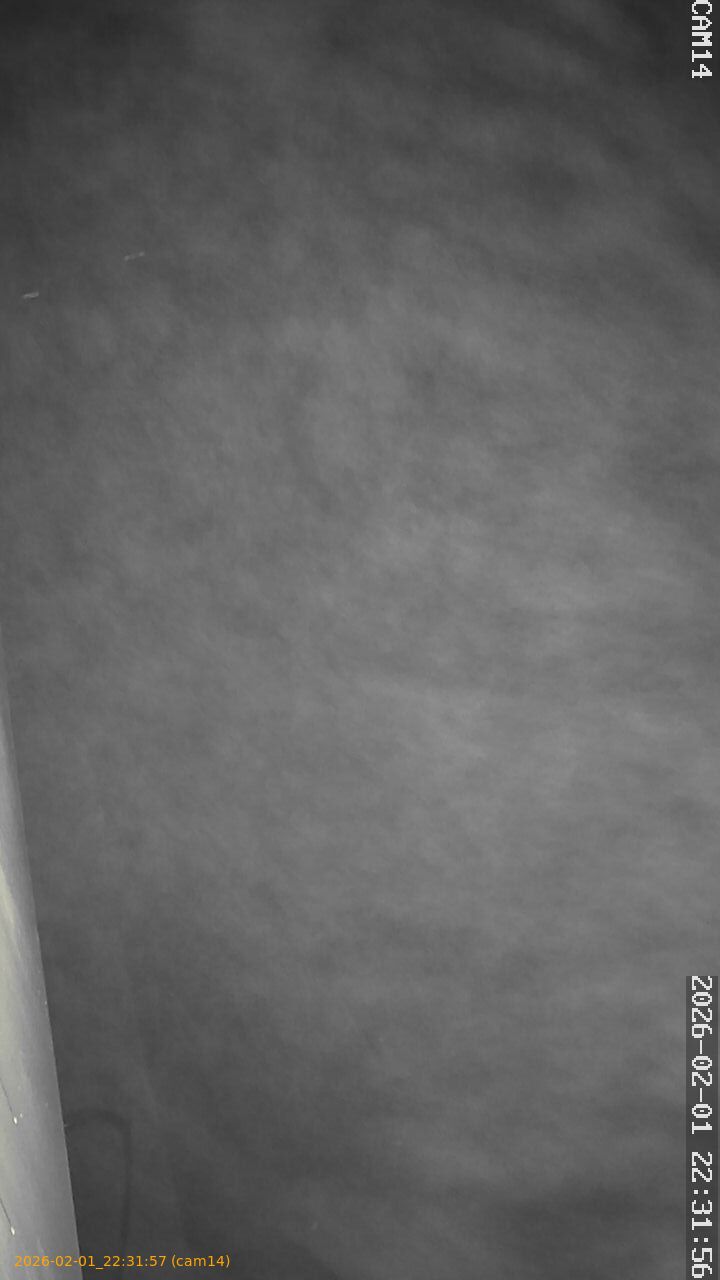 thumbnail_20260201223157