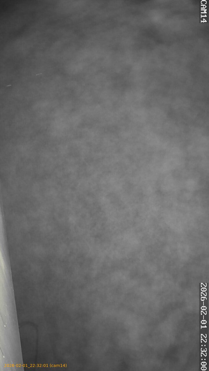 thumbnail_20260201223201