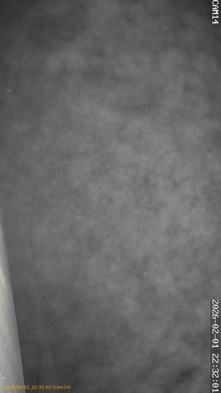 thumbnail_20260201223202