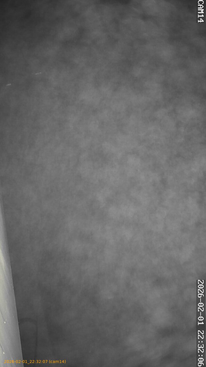 thumbnail_20260201223207