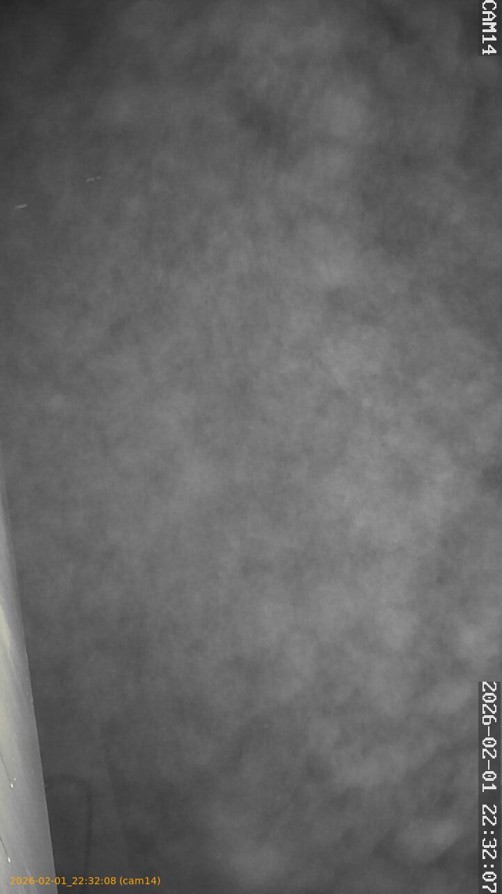 thumbnail_20260201223208