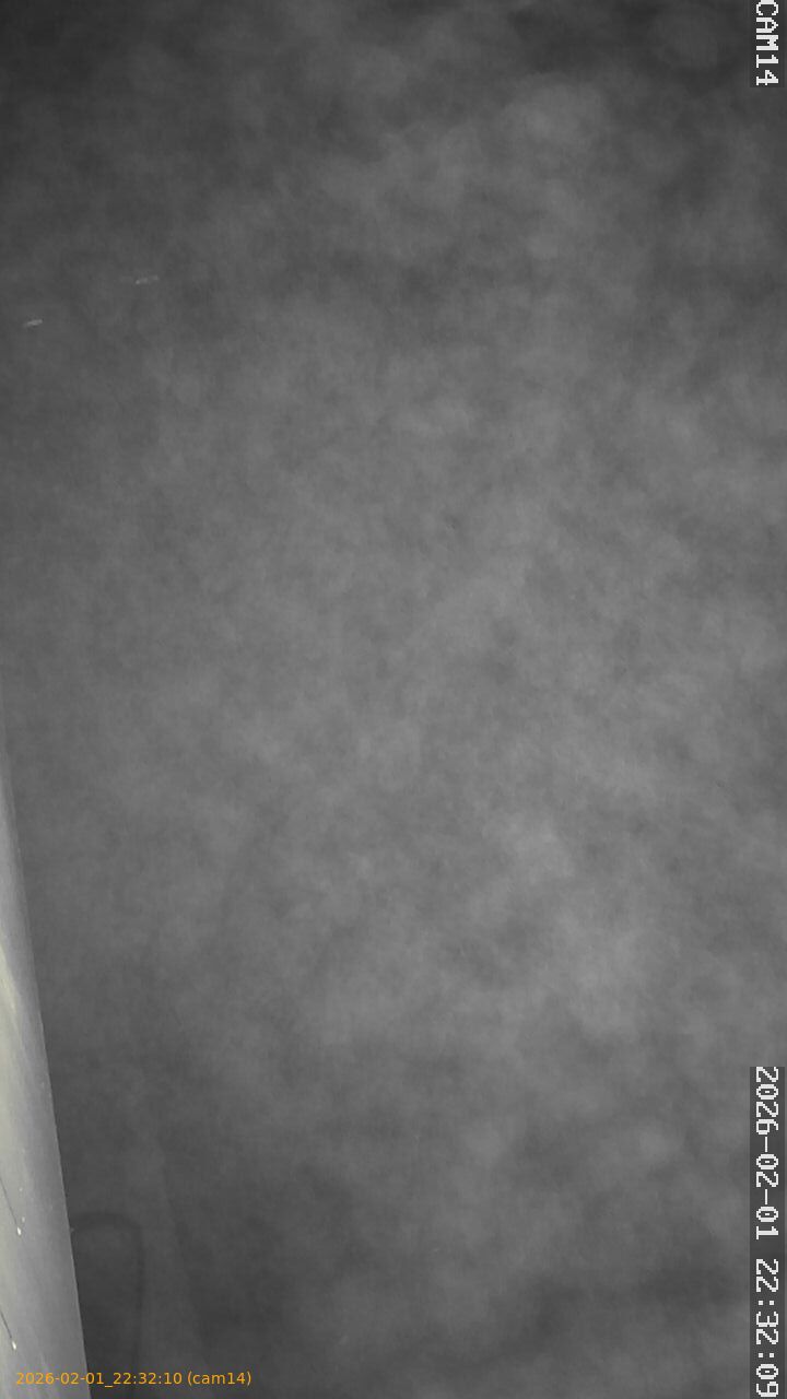 thumbnail_20260201223210