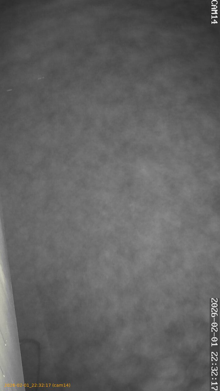 thumbnail_20260201223217