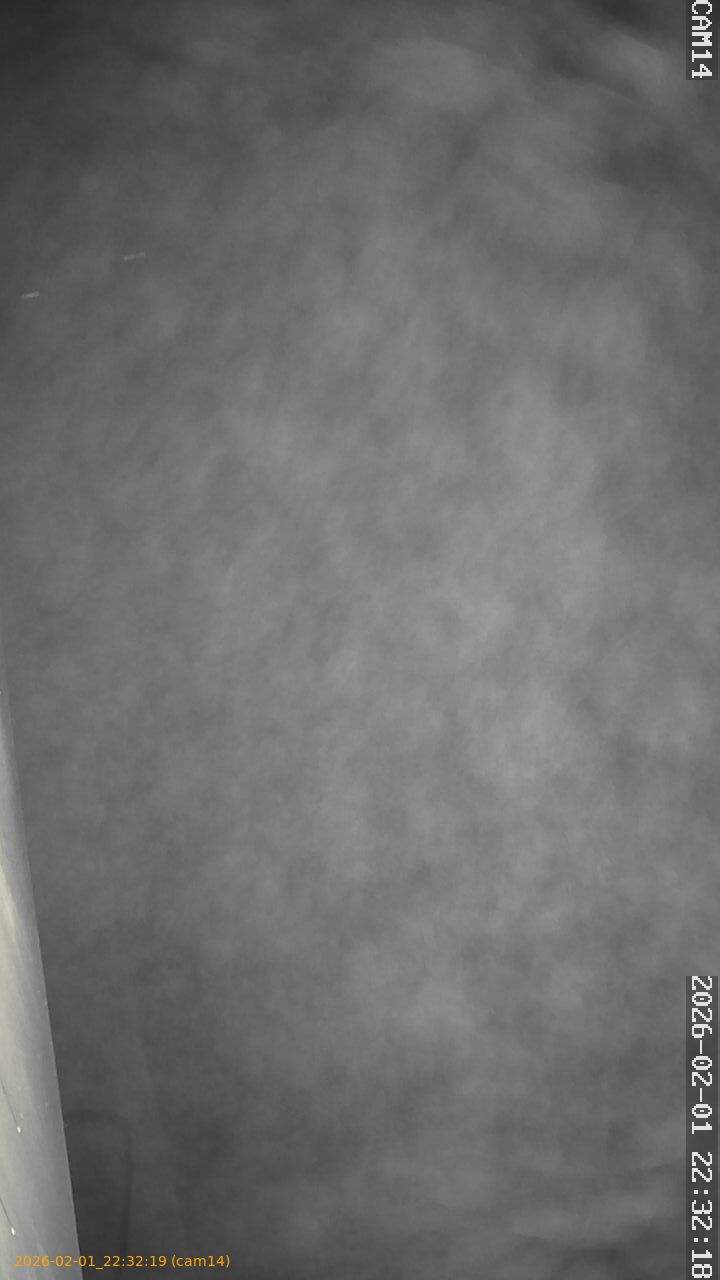 thumbnail_20260201223219