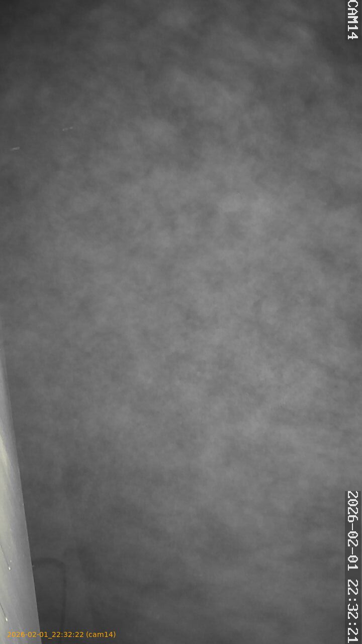 thumbnail_20260201223222