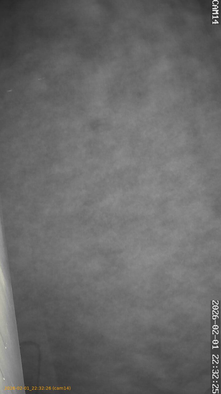 thumbnail_20260201223226