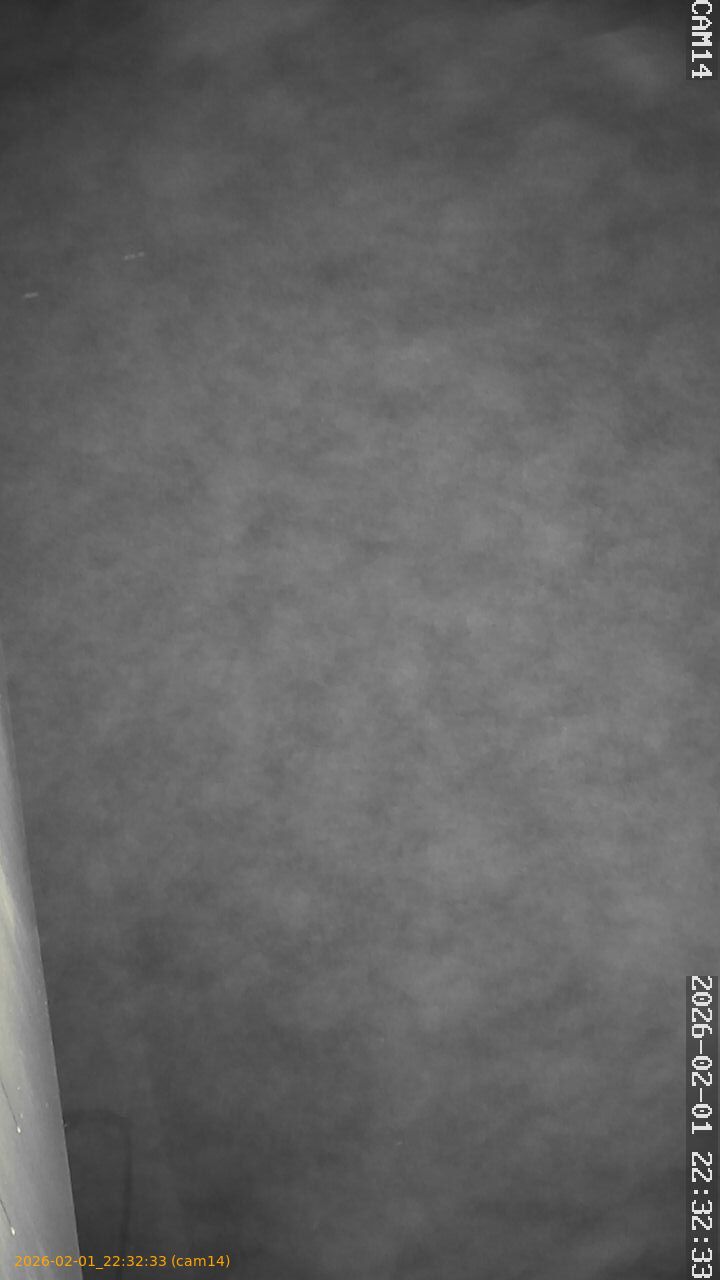 thumbnail_20260201223233