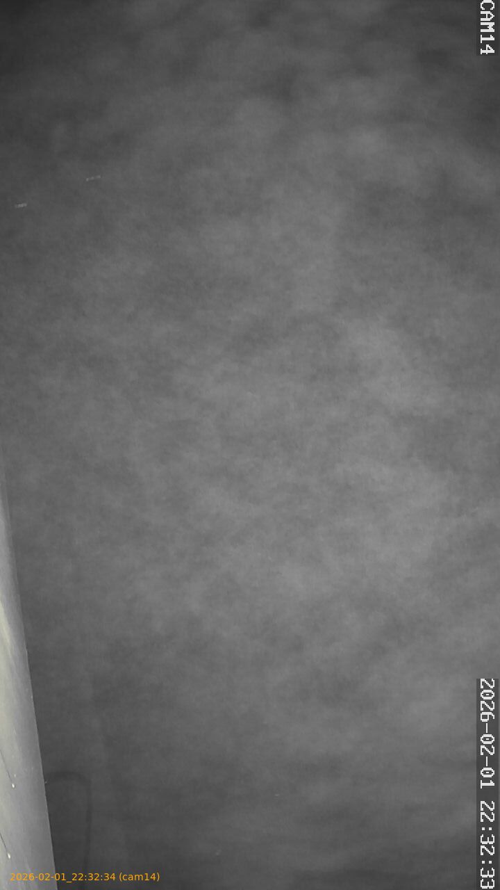 thumbnail_20260201223234