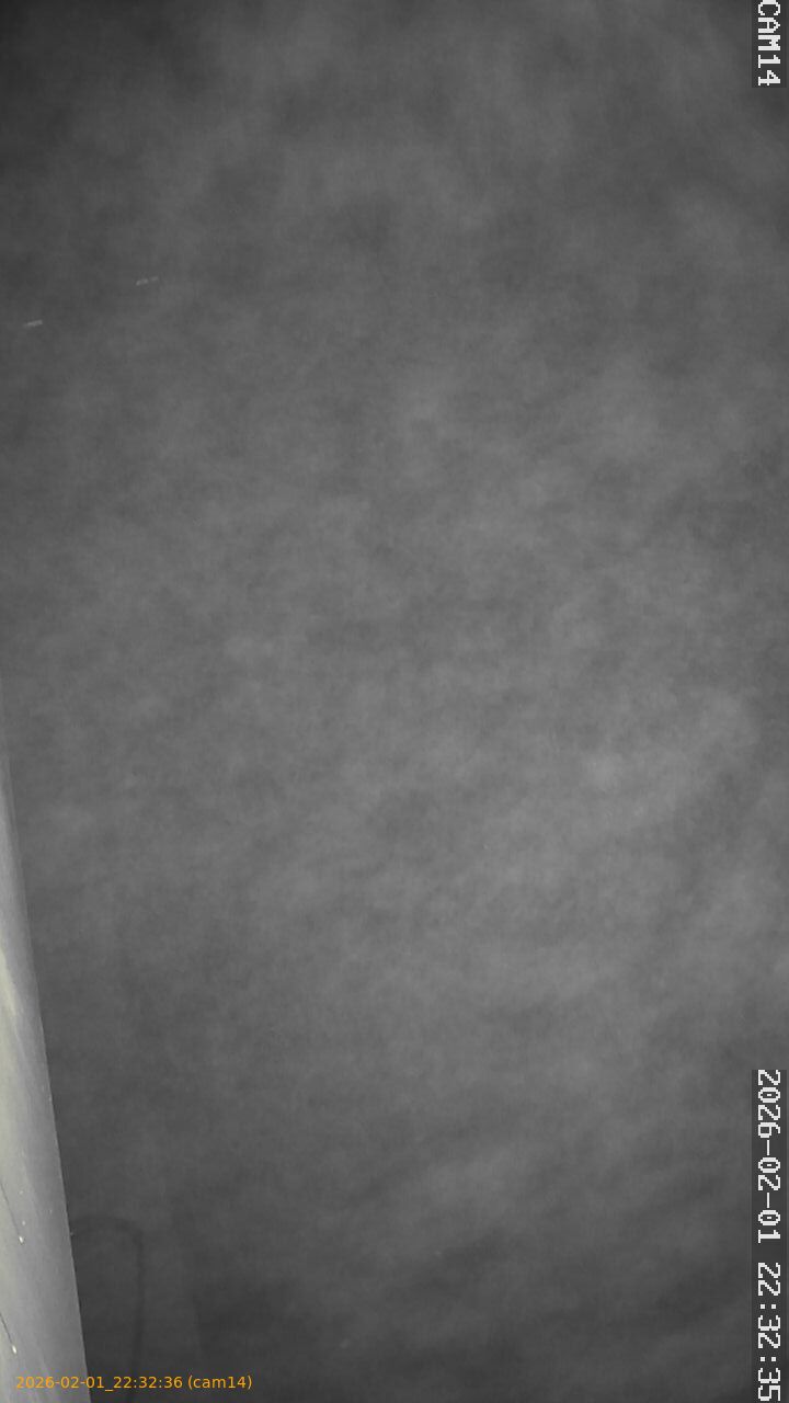 thumbnail_20260201223236