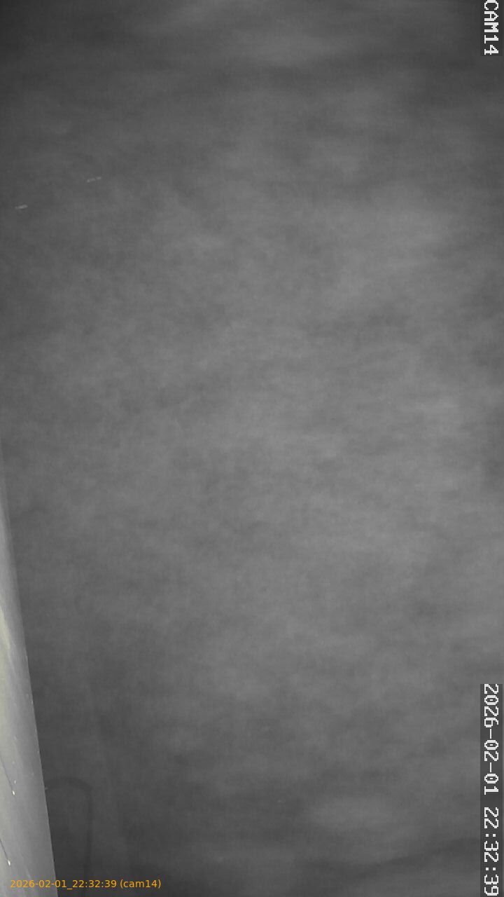 thumbnail_20260201223239