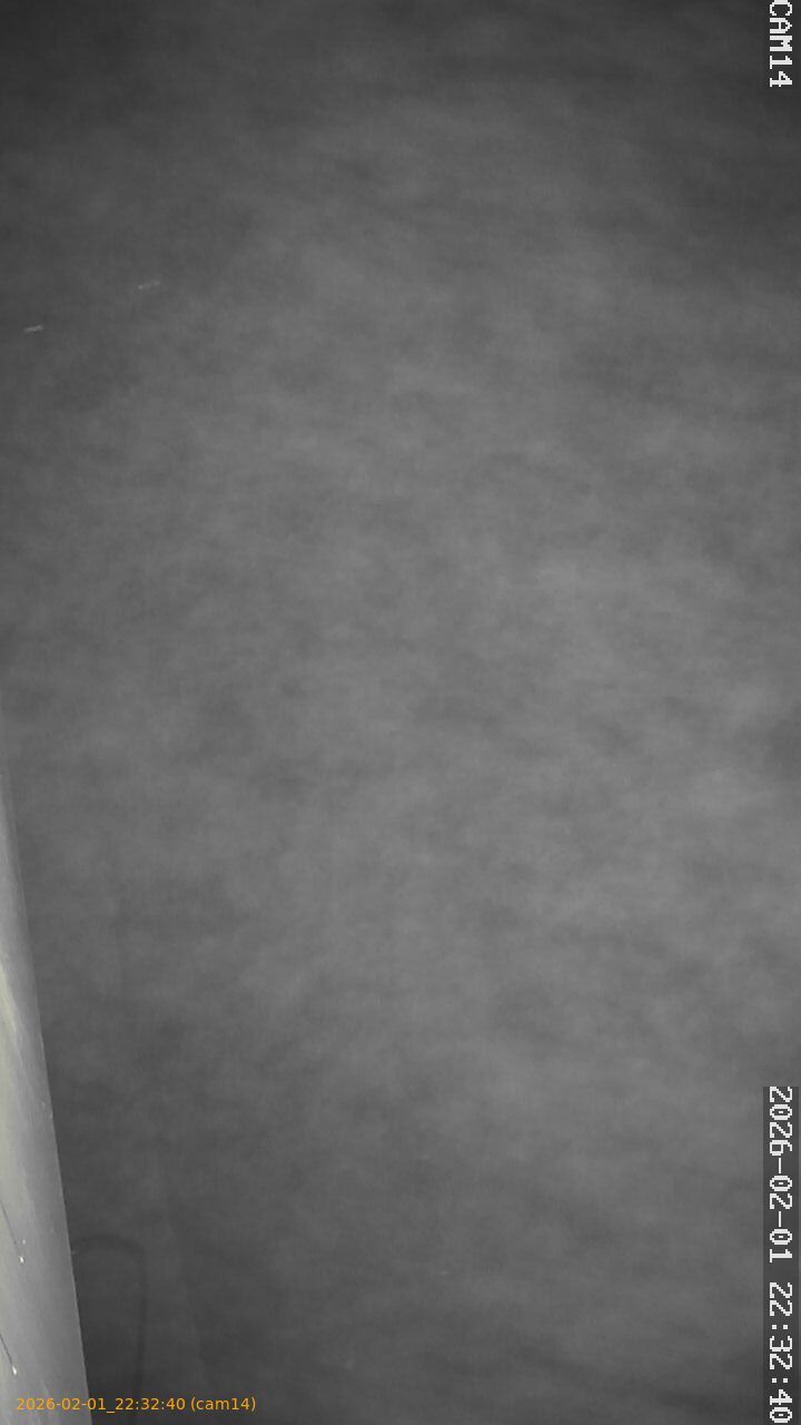 thumbnail_20260201223240