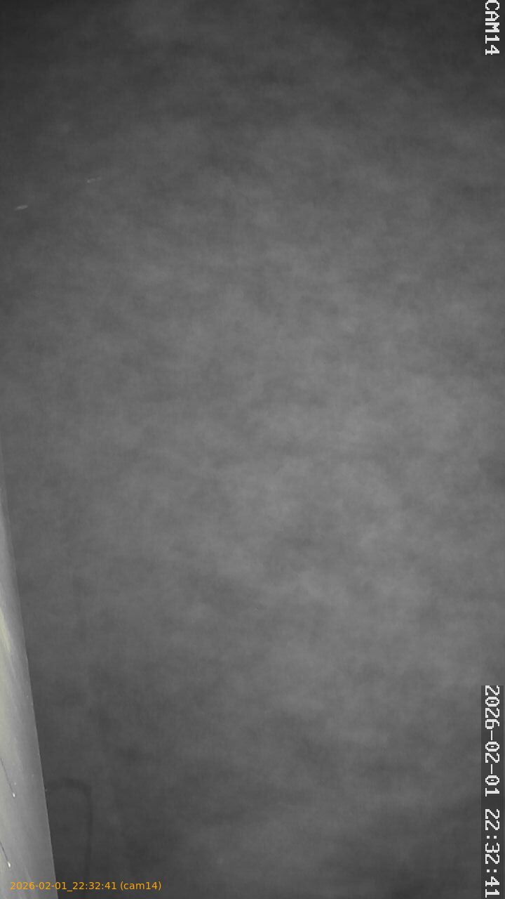 thumbnail_20260201223241