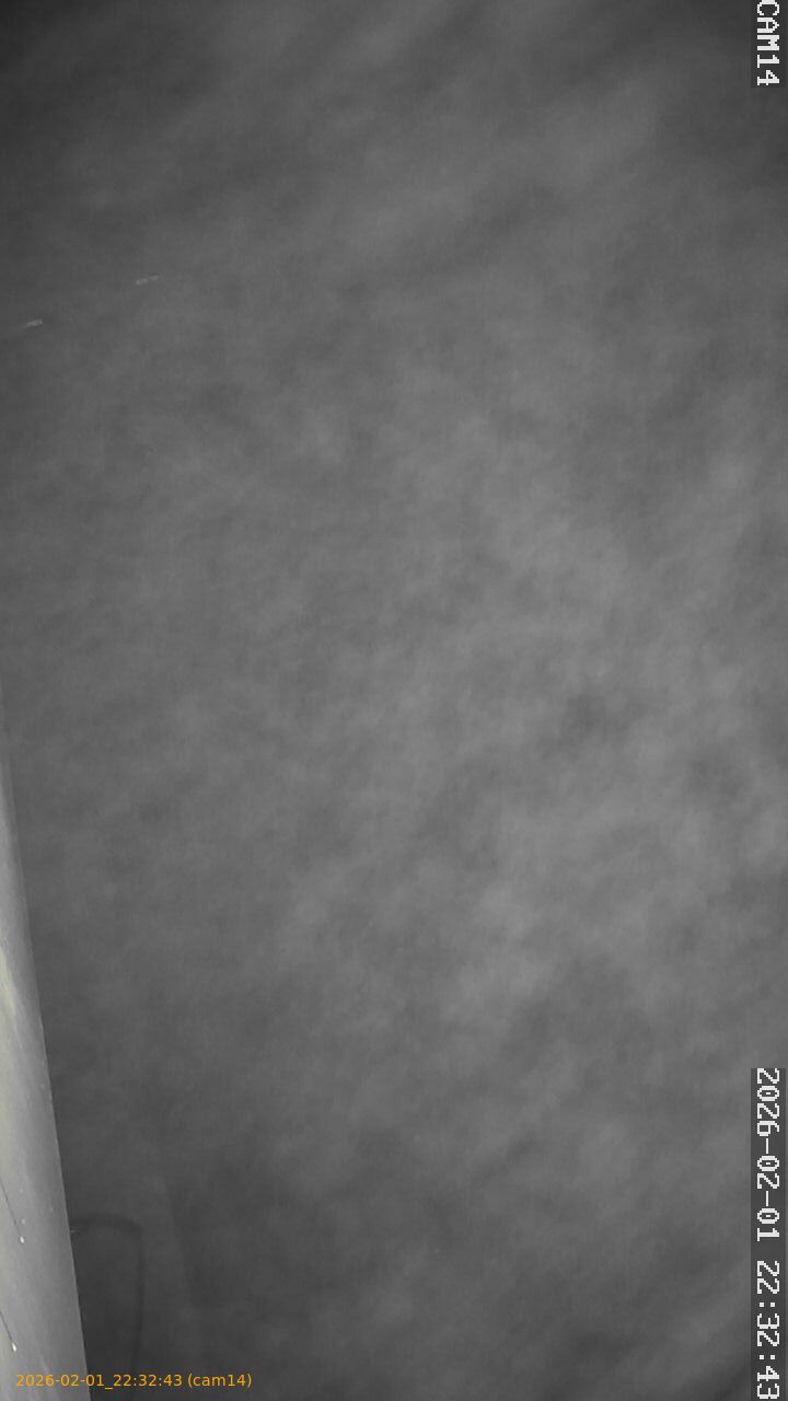 thumbnail_20260201223243