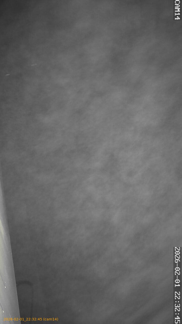 thumbnail_20260201223245