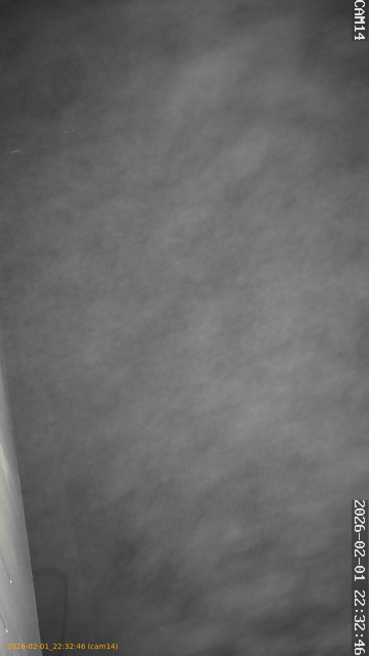 thumbnail_20260201223246