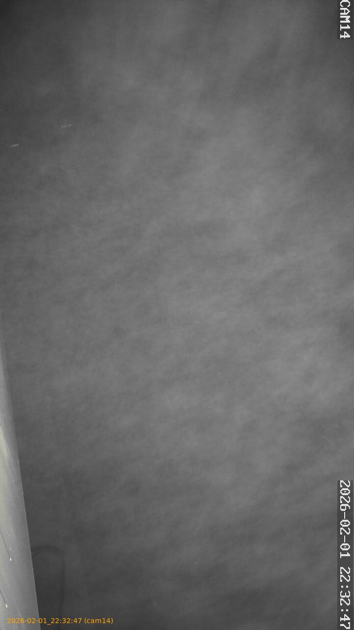 thumbnail_20260201223247