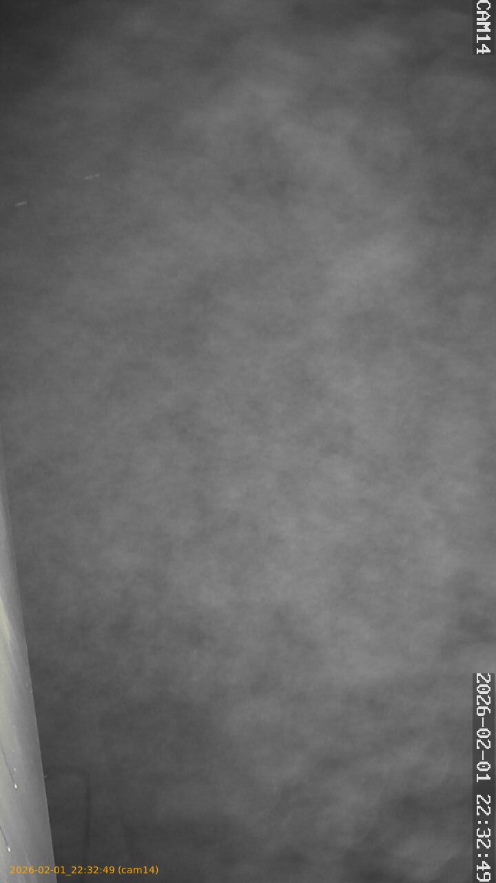 thumbnail_20260201223249