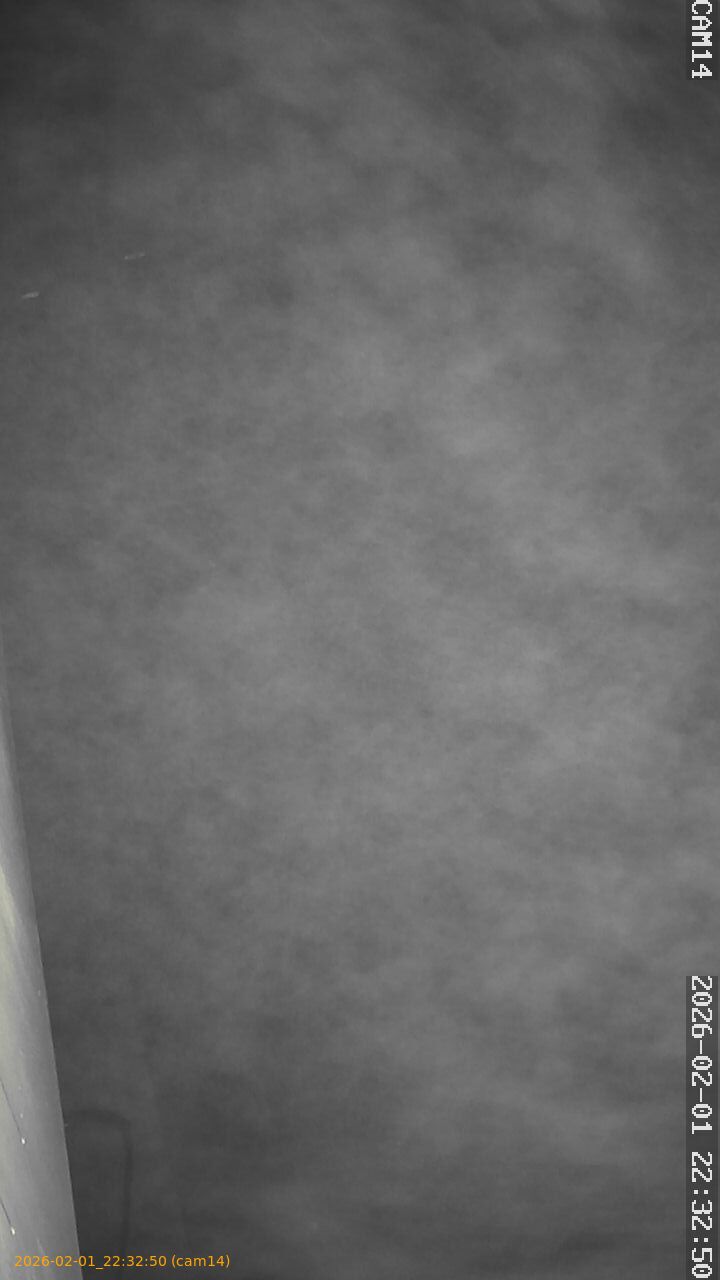 thumbnail_20260201223250